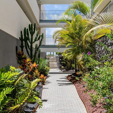 Penthouse With Private Roof Terrace - Tesoro Del Galeon Lejlighed Costa Adeje (Tenerife)